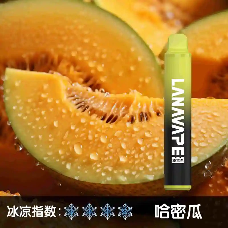 LANA disposable 8000-port LANAVAPE PEN disposable electronic atomizer-VAKAVAPE Candy House
