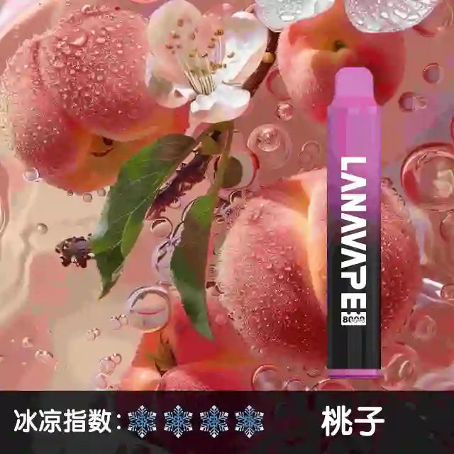 LANA disposable 8000-port LANAVAPE PEN disposable electronic atomizer-VAKAVAPE Candy House